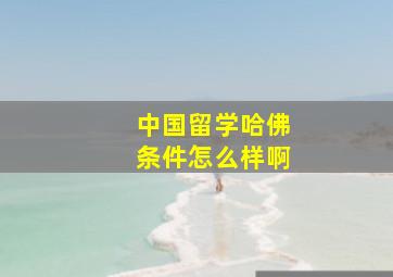 中国留学哈佛条件怎么样啊