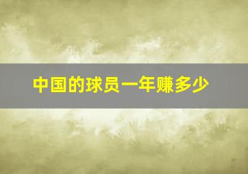 中国的球员一年赚多少