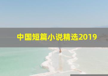 中国短篇小说精选2019