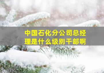 中国石化分公司总经理是什么级别干部啊