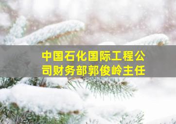 中国石化国际工程公司财务部郭俊岭主任