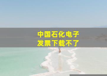 中国石化电子发票下载不了