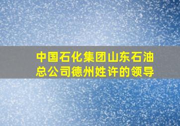 中国石化集团山东石油总公司德州姓许的领导