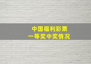 中国福利彩票一等奖中奖情况