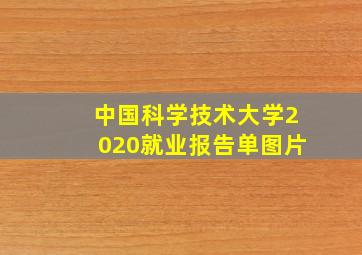 中国科学技术大学2020就业报告单图片