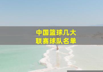 中国篮球几大联赛球队名单