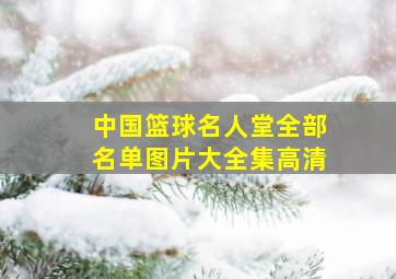 中国篮球名人堂全部名单图片大全集高清