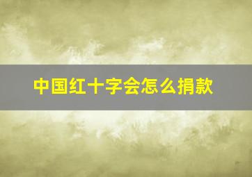 中国红十字会怎么捐款