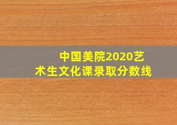 中国美院2020艺术生文化课录取分数线