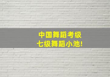 中国舞蹈考级七级舞蹈小池!