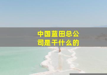 中国蓝田总公司是干什么的