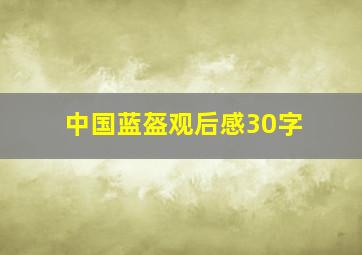 中国蓝盔观后感30字