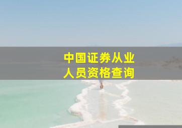 中国证券从业人员资格查询