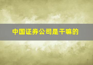 中国证券公司是干嘛的