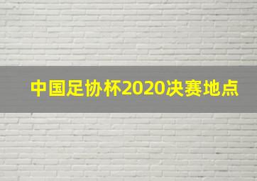 中国足协杯2020决赛地点