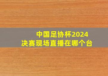 中国足协杯2024决赛现场直播在哪个台