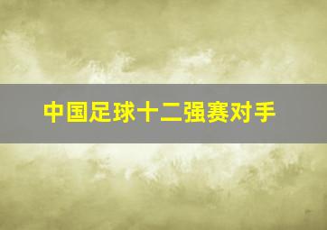 中国足球十二强赛对手