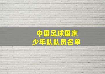 中国足球国家少年队队员名单