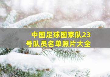 中国足球国家队23号队员名单照片大全