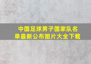 中国足球男子国家队名单最新公布图片大全下载