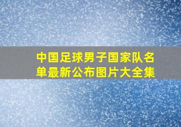 中国足球男子国家队名单最新公布图片大全集