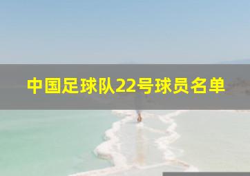 中国足球队22号球员名单