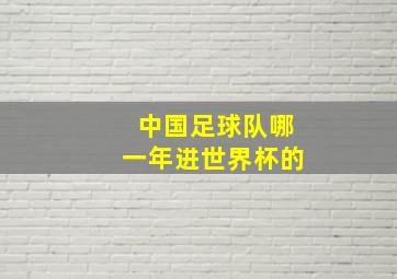 中国足球队哪一年进世界杯的