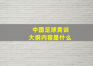 中国足球青训大纲内容是什么