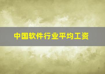 中国软件行业平均工资