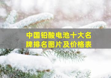 中国铅酸电池十大名牌排名图片及价格表