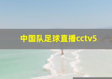 中国队足球直播cctv5