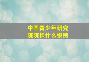 中国青少年研究院院长什么级别