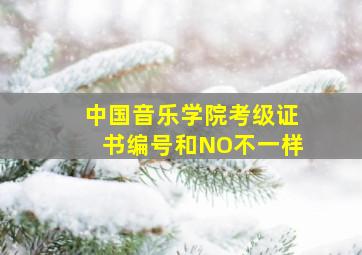 中国音乐学院考级证书编号和NO不一样