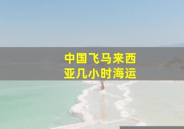 中国飞马来西亚几小时海运