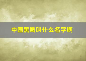 中国黑鹰叫什么名字啊