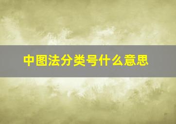 中图法分类号什么意思