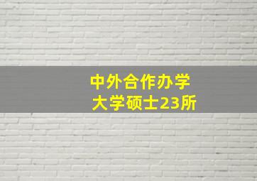 中外合作办学大学硕士23所