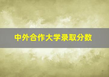 中外合作大学录取分数