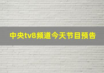 中央tv8频道今天节目预告