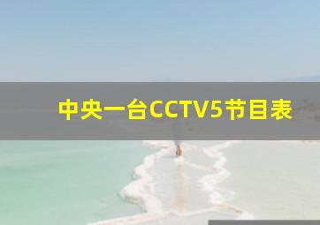 中央一台CCTV5节目表