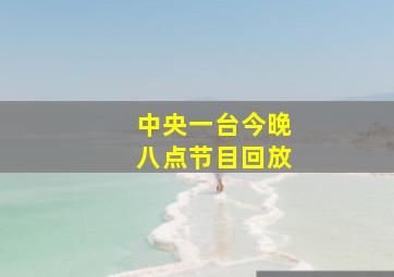 中央一台今晚八点节目回放