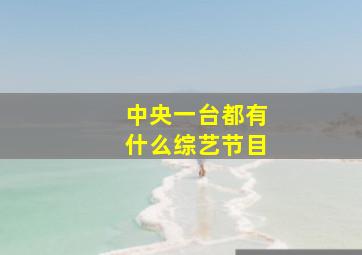 中央一台都有什么综艺节目