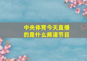 中央体育今天直播的是什么频道节目