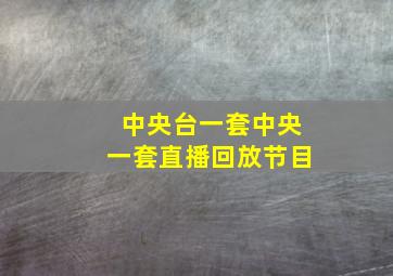 中央台一套中央一套直播回放节目