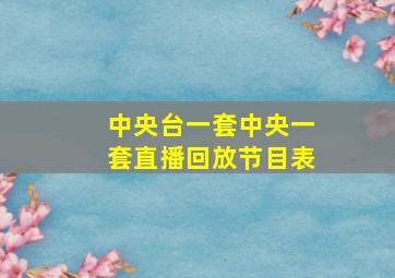 中央台一套中央一套直播回放节目表