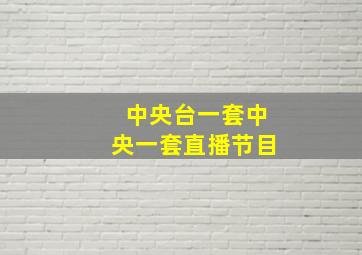 中央台一套中央一套直播节目