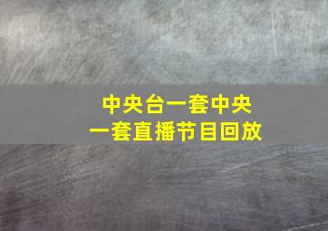 中央台一套中央一套直播节目回放