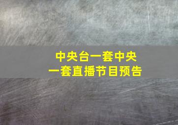 中央台一套中央一套直播节目预告