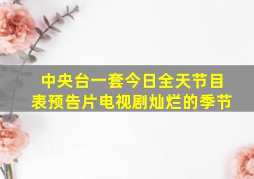 中央台一套今日全天节目表预告片电视剧灿烂的季节