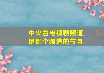 中央台电视剧频道是哪个频道的节目